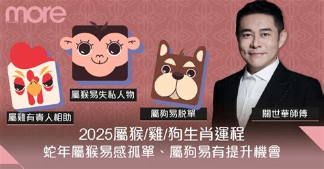 蛇跟豬|四生肖2025要安太歲！豬易吵架、猴遇愛情騙子、他最慘各種不。